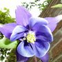 Sat_3_may_044