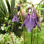 Sat_3_may_050