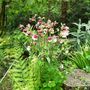 Sat_3_may_054