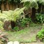 New path