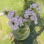 4th_may_2008_009