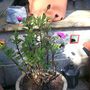 4th_may_2008_012