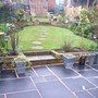 View from the kitchen window