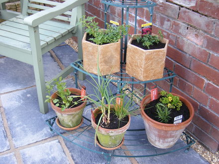 Herb planters