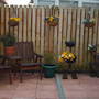 my garden 