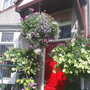 Garden_pics_2007_034