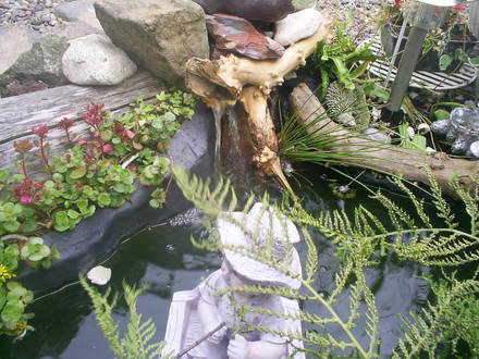 water feature 
