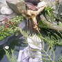 water feature 