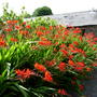 Dscn0681