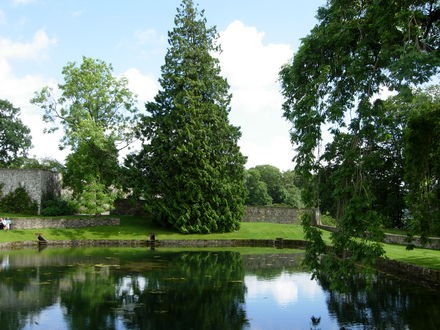 Small Lake