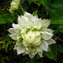 5-3-08_025