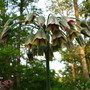 5-4-08_083