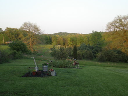 2008 garden