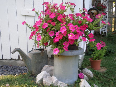 garden, 2007