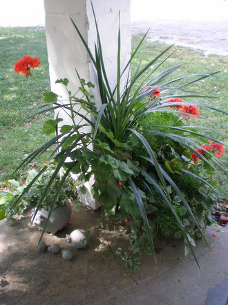 fall, 2007