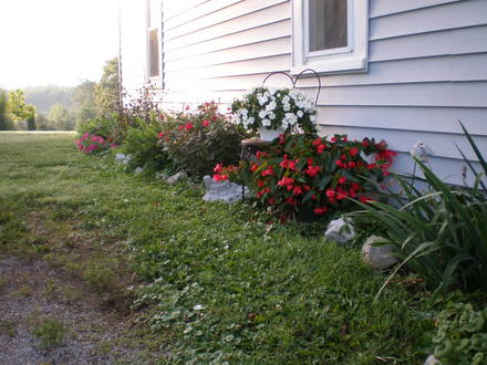 July 2007