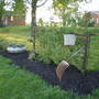 2008_garden__2