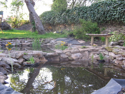 Pond slowly taking shape.