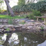 Pond_005