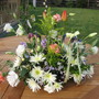 A garden flower photo