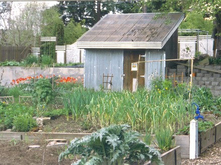 My other gardening site