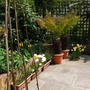 Brens_photos_286