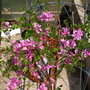 Brens_photos_291