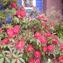 Pict0057