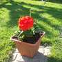4th_may_2008_014