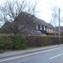 Leaf Buds breaking on Vistabile Beech Hedge 04.08S (Fagus sylvatica  (Vistabile))