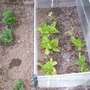 4th_may_2008_015