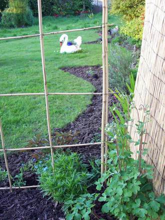 Edged all my Lawn today :)