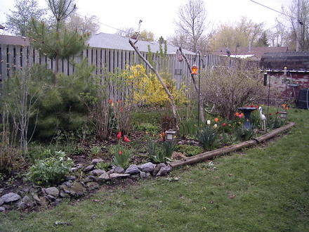Early big back garden