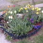2008-05-02_end_april_rock_garden