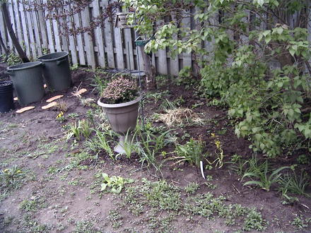 Veggie & new back garden area