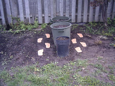 Footprint stepping stones
