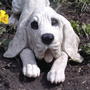 'Digger Dog's face - I think he's smiling at you, Jacque!!