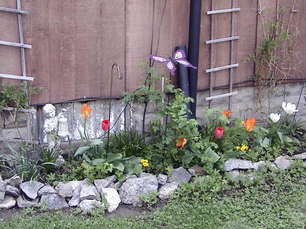 Back of house garden 