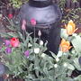2008-05-02_milkcan_area