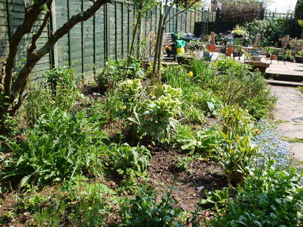one of my borders,still green, but not for long