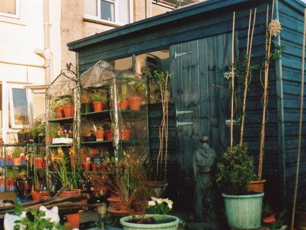 Shed where I make pottery things.