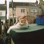 Img012