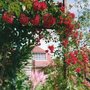 Img023