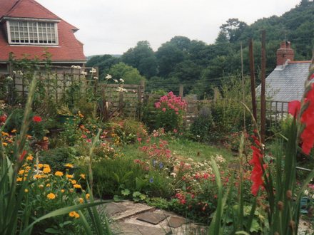 My previous garden
