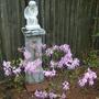 Pics_3
