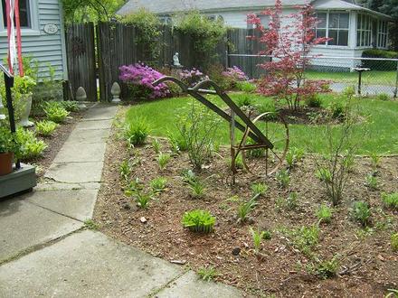 Front Garden - May 2008