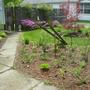 Front Garden - May 2008