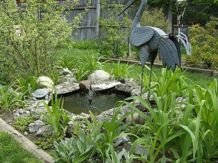 Pond - May 2008