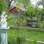 Back Garden - May 2008