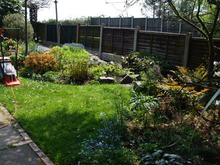 another corner of my garden